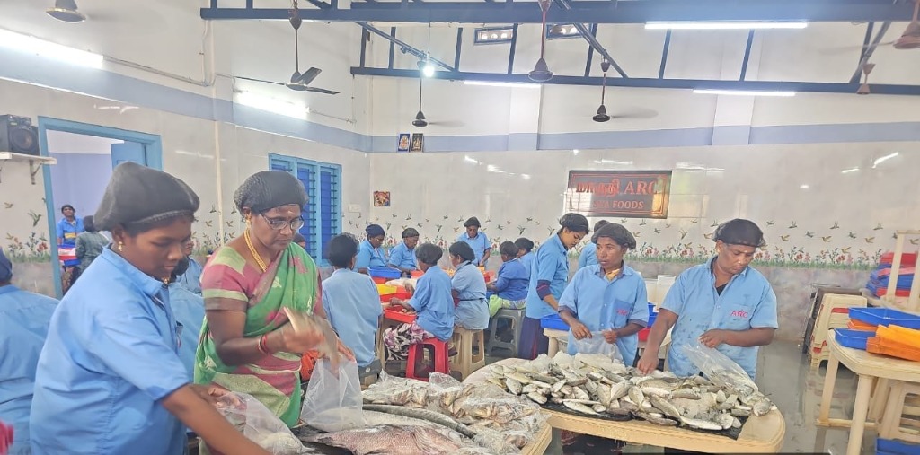 Fresh Catch Processing